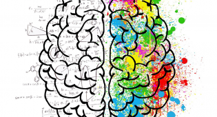 Piirroskuvassa on aivot, joiden vasemmanpuoleinen lohko on mustavalkoinen ja täynnä matemaattisia kaavoja. Oikeanpuoleinen aivolohko on täynnä värikkäitä maaliläiskiä ja -roiskeita.