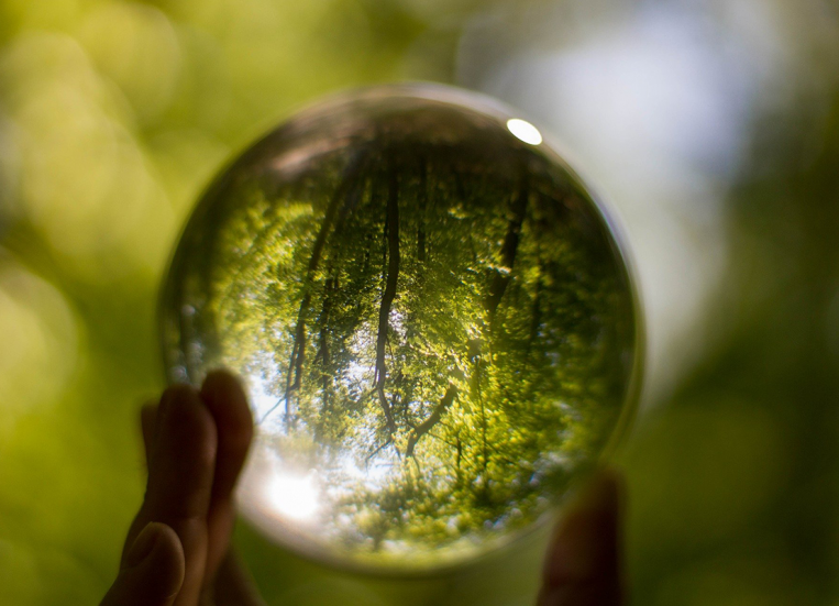 Käsi pitelee kristallipalloa, josta heijastuu metsäinen maisema.