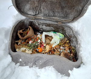 Kuvassa avonainen komposti, jossa näkyy ruoantähteitä.
