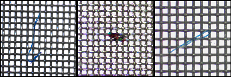 Kuvassa on kolme vierekkäistä mikroskooppikuvaa, joissa kaikissa näkyy mikromuovipartikkeleita.