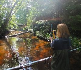 Metsän keskellä virtaava joki, jossa kahluuhousuinen henkilö suorittaa virtaamamittausta. Joen poikki on asetettu mittatikku, jota käytetään hyväksi mittauksissa.