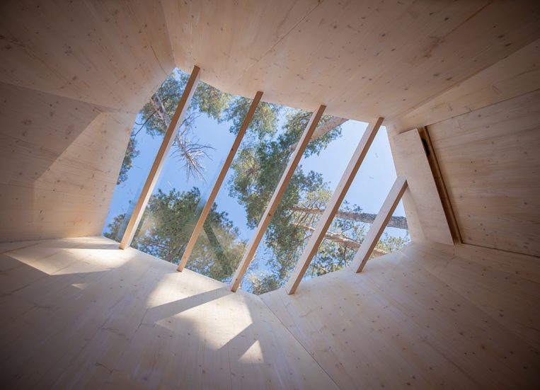 Näkymä puulla sisustetusta huoneesta kattoikkunarakenteen läpi luontoon.